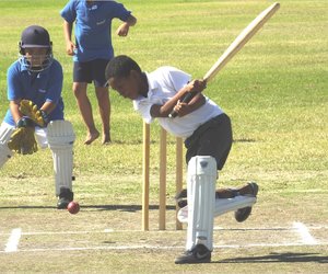 Tjokkers swaai wilgerlat